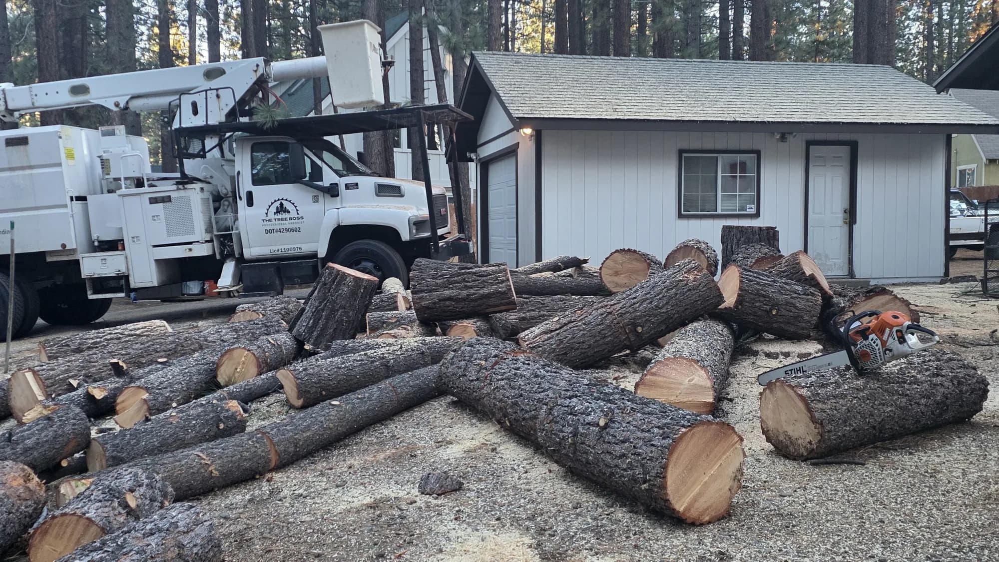 Tree Boss bucket truck beside a pine cut into rounds