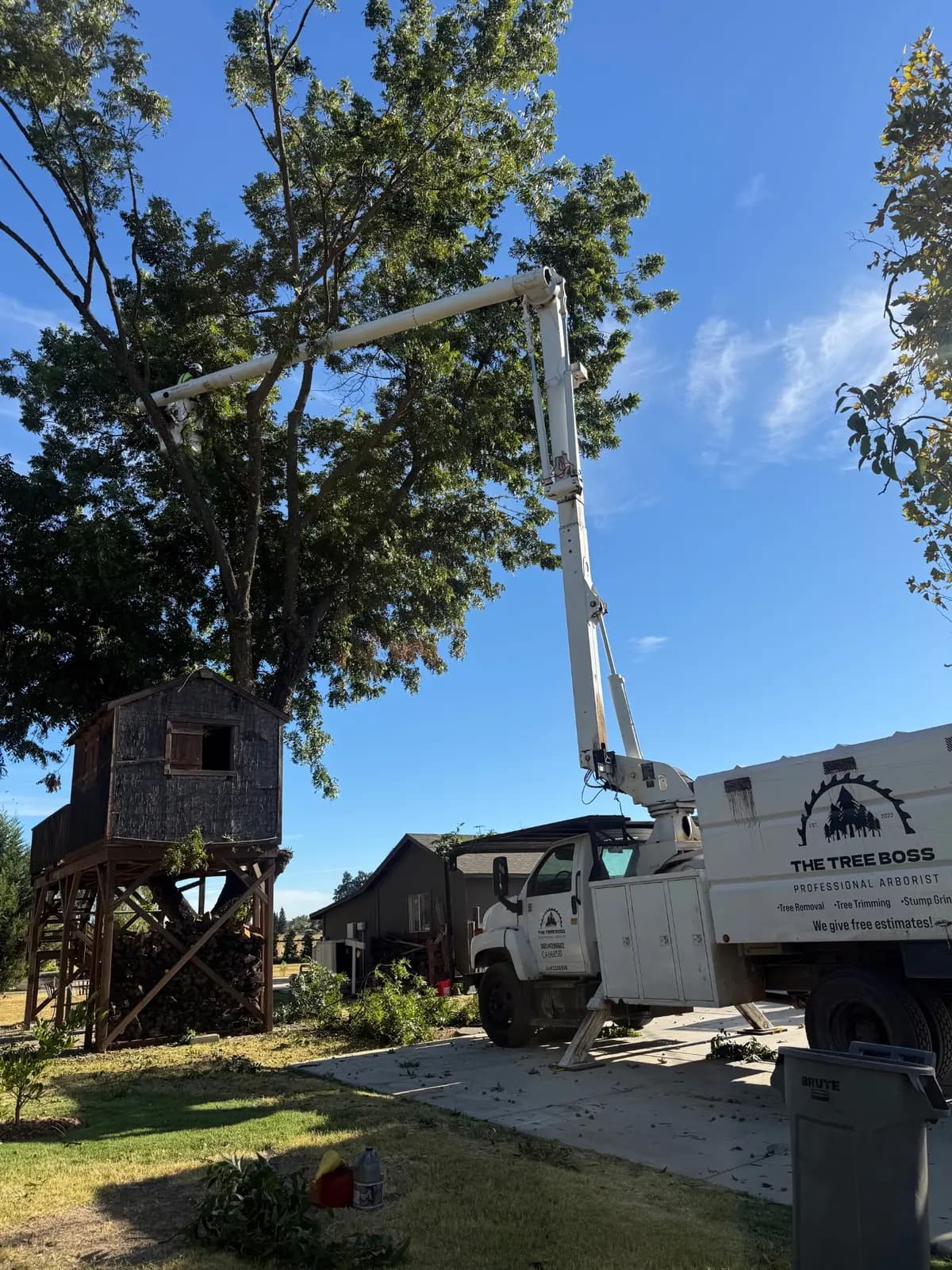 Bucket truck boom extended into a shade tree beside a backyard treehouse