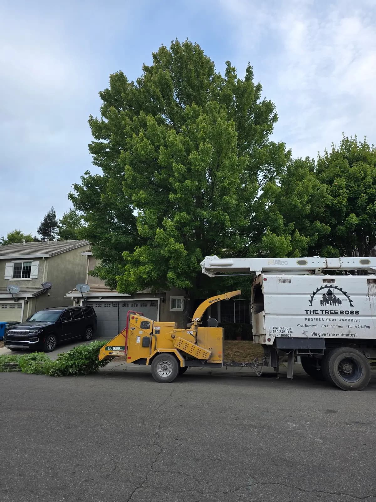 Chipper and bucket truck staged at the curb for a residential tree removal