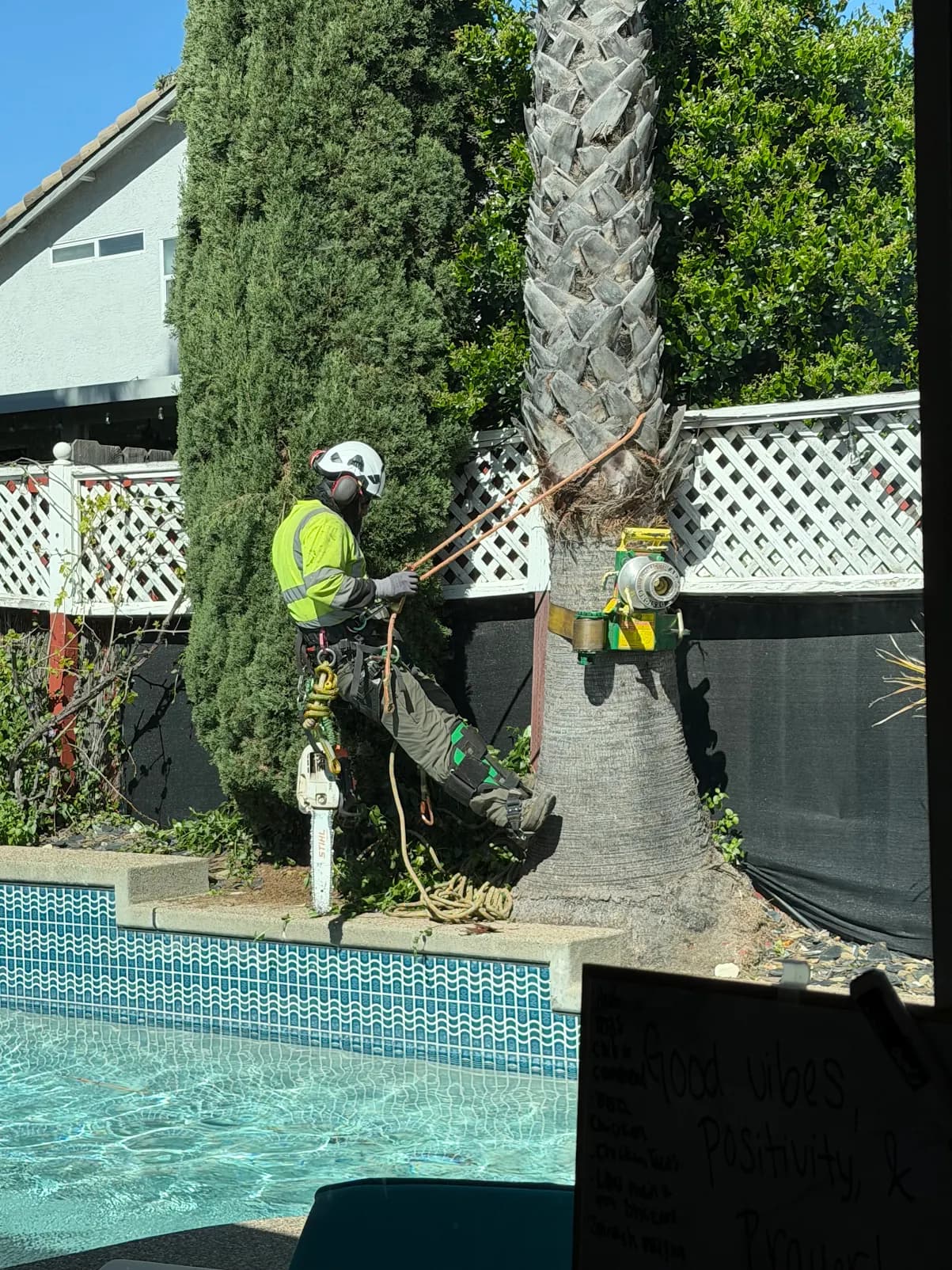 Tree Boss owner on site in Yuba City